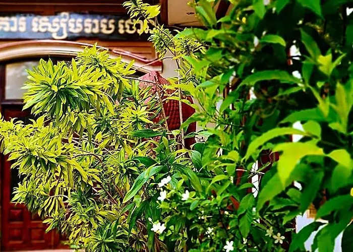 Town Siem Reap